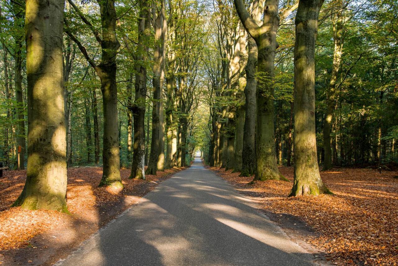 Luxe Bosvilla De Paradijsvogel Rijs Dış mekan fotoğraf